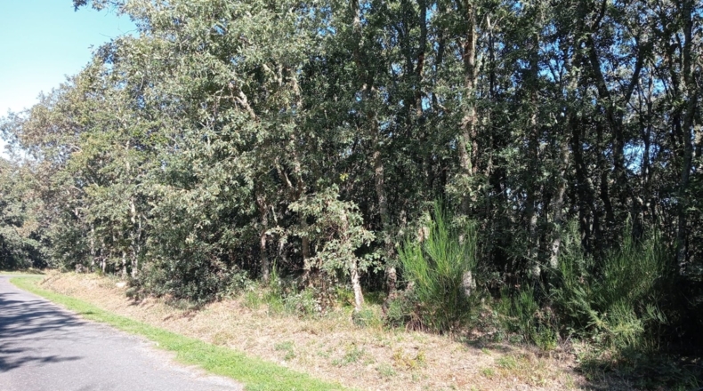 Orense - A Bola - 27090m2
