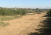 Non-developable land for sale on Paraje el Ginete Polígono 50 parcela 93., Cieza, ref: TR67906 photo