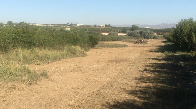 Murcia - Cieza - 10000m2