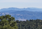 Sòl urbà en lloguer a la les Planes del Rei, ref.: TR49360 foto