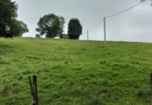 Stone house with land for sale on Saro de Arriba, ref: TR91829 photo
