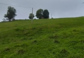 Stone house with land for sale on Saro de Arriba, ref: TR91829 photo