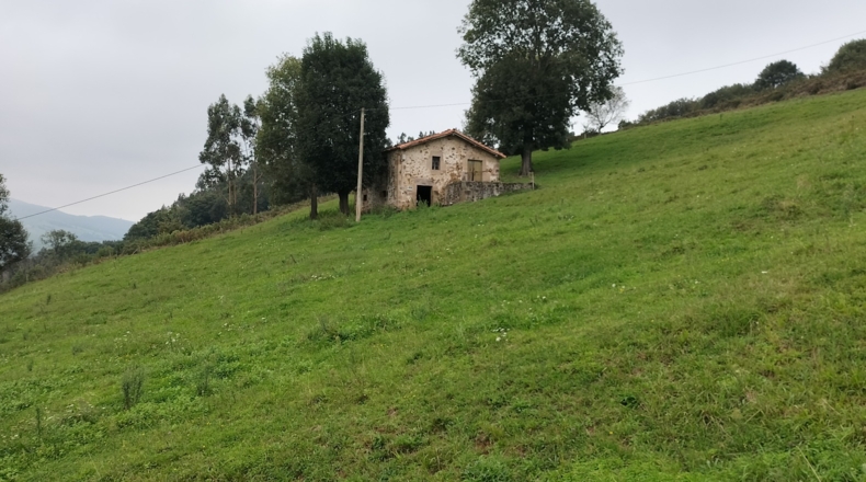 Cantabria - Saro de Arriba - 26572m2