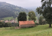 Stone house with land for sale on Saro de Arriba, ref: TR91829 photo