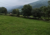 Stone house with land for sale on Saro de Arriba, ref: TR91829 photo