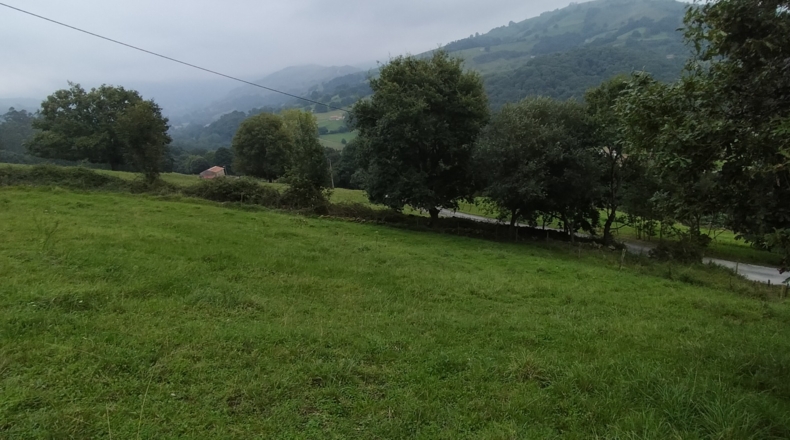 Cantabria - Saro de Arriba - 26572m2