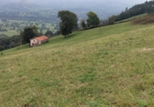 Stone house with land for sale on Saro de Arriba, ref: TR91829 photo