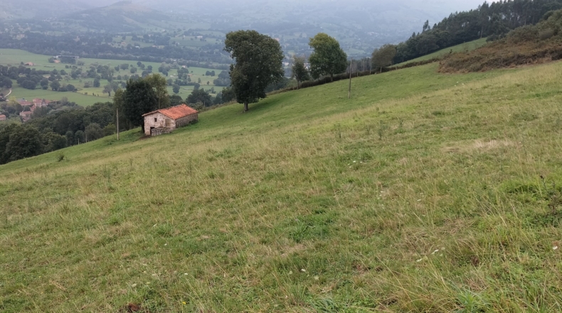 Cantabria - Saro de Arriba - 26572m2