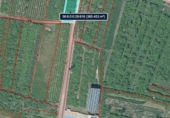 Non-developable land for sale on A Bouza, Cambados, ref: TR91827 photo