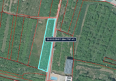 Non-developable land for sale on A Bouza, Cambados, ref: TR91827 photo