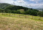 Non-developable land for sale on POLIGONO 29 PARCELA 177, Caldevilla, ref: TR92138 photo