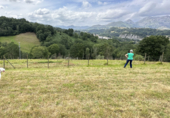 Non-developable land for sale on POLIGONO 29 PARCELA 177, Caldevilla, ref: TR92138 photo