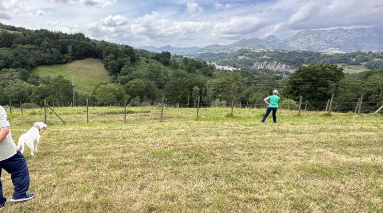 Asturias - Caldevilla (Sebares) - 507m2