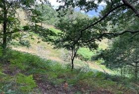 Caldevilla 2040&nbsp;m² 