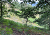 Non-developable land for sale on Castañeu en Piloña, Caldevilla, ref: TR92194 photo