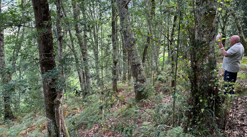 Asturias - Caldevilla (Sebares) - 2040m2