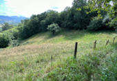 Non-developable land for sale on Castañeu en Piloña, Caldevilla, ref: TR92194 photo
