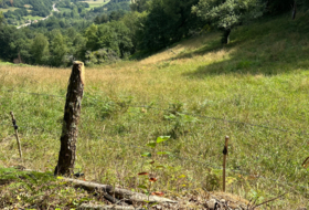 Caldevilla 2040&nbsp;m² 