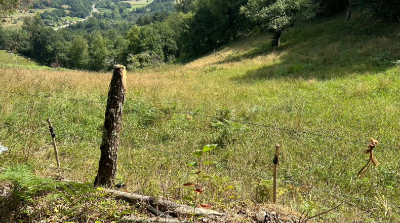 Asturias - Caldevilla (Sebares) - 2040m2