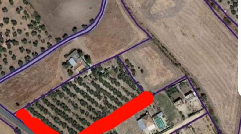 Seville - La Campana - 9500m2