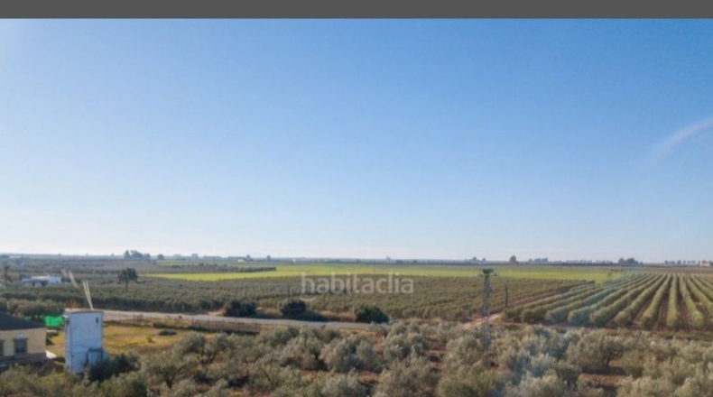 Seville - La Campana - 9500m2