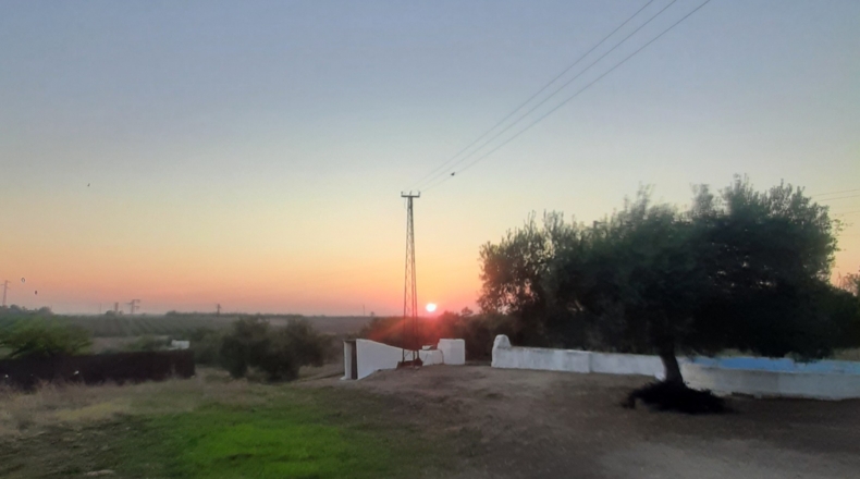 Seville - La Campana - 9500m2