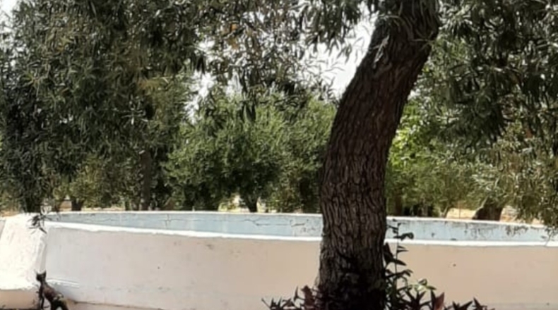 Seville - La Campana - 9500m2