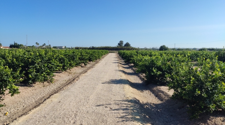 Alicante - El Saladar - 18700m2