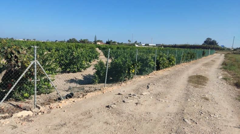 Alicante - El Saladar - 18700m2