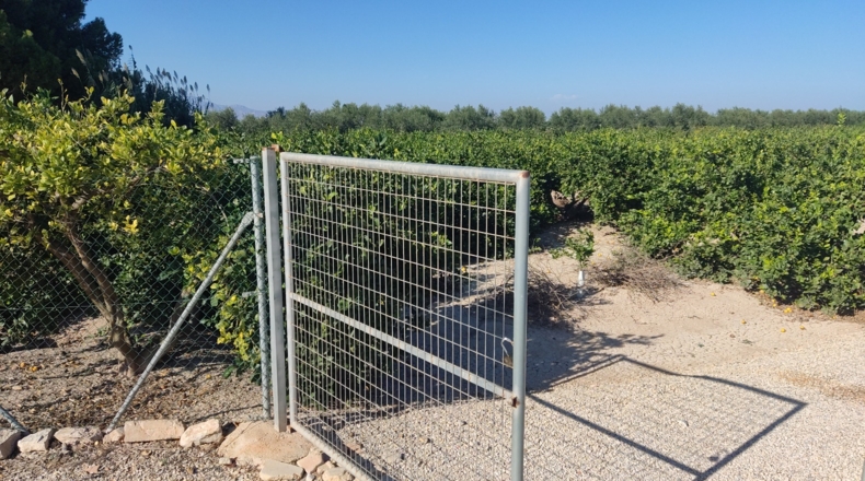 Alicante - El Saladar - 18700m2