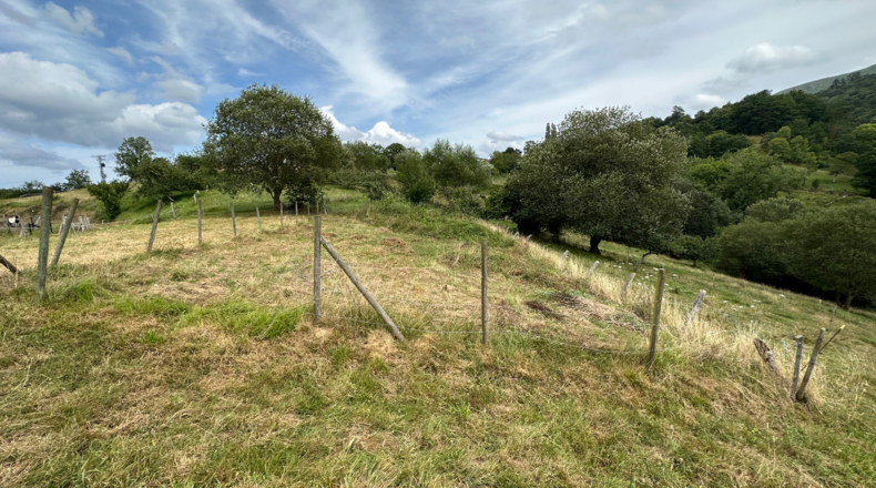 Asturias - Caldevilla (Sebares) - 184m2
