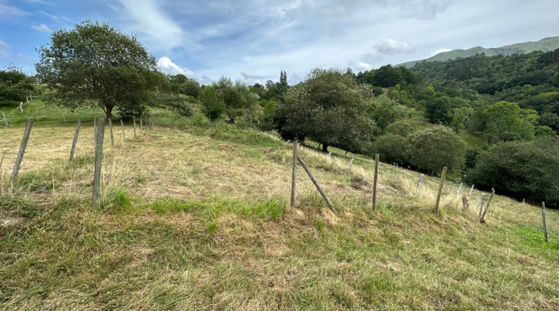 Asturias - Caldevilla (Sebares) - 184m2