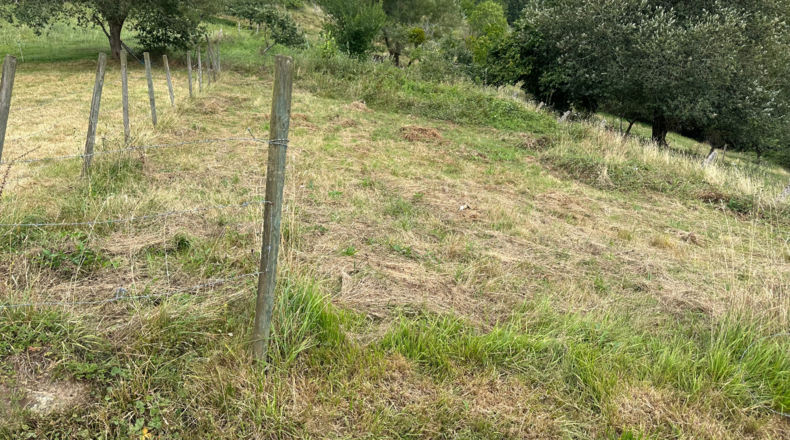 Asturias - Caldevilla (Sebares) - 184m2