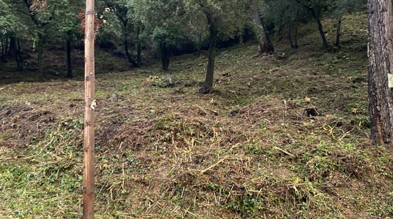 Barcelona - Cervelló - 1000m2