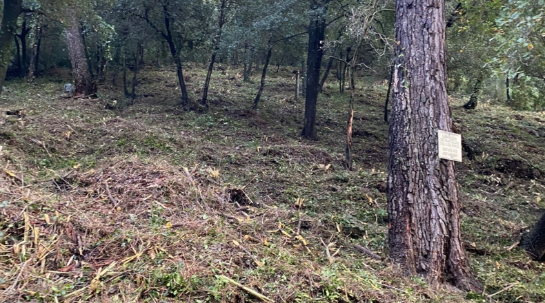 Barcelona - Cervelló - 1000m2
