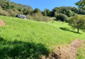 Non-developable land for sale on San Pelayo, ref: TR92276 photo