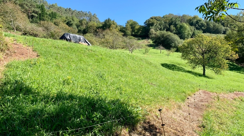 Asturias - San Pelayo - 6000m2