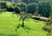 Non-developable land for sale on San Pelayo, ref: TR92276 photo