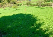 Non-developable land for sale on San Pelayo, ref: TR92276 photo
