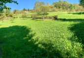 Non-developable land for sale on San Pelayo, ref: TR92276 photo