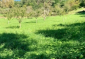 Non-developable land for sale on San Pelayo, ref: TR92276 photo