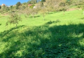 Non-developable land for sale on San Pelayo, ref: TR92276 photo