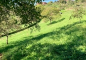 Non-developable land for sale on San Pelayo, ref: TR92276 photo