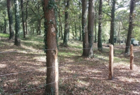 Foto 9
