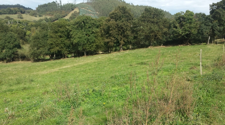 Asturias - Baúro - 38629m2
