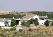 Finca rústica en venda a la CM-4005, Mora, ref.: TR92376 foto