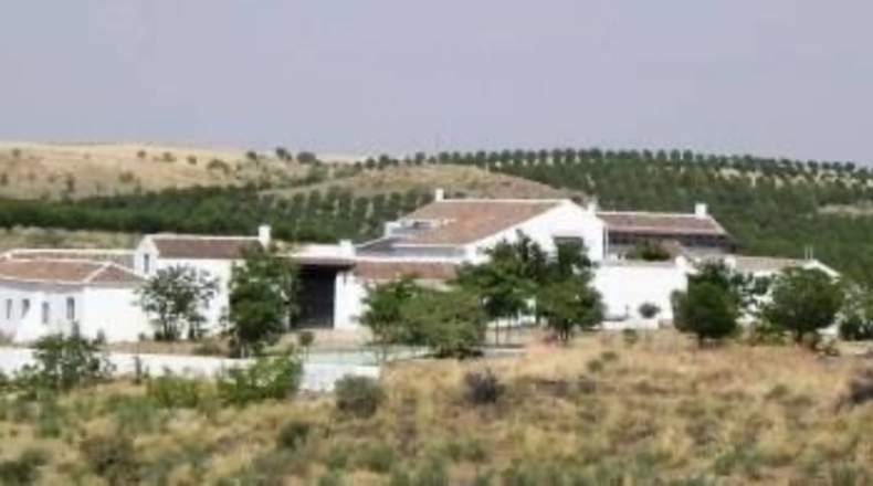 Toledo - Mora - 1800m2