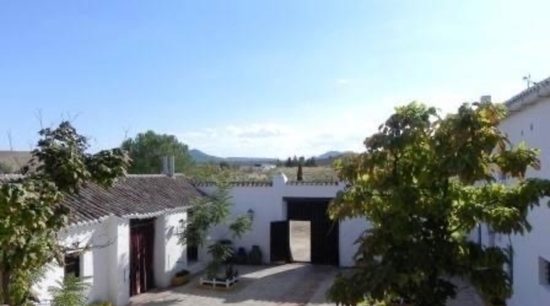 Toledo - Mora - 1800m2