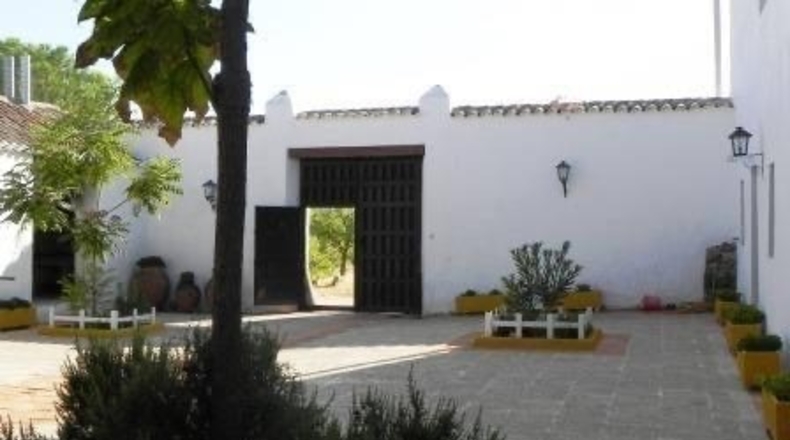 Toledo - Mora - 1800m2