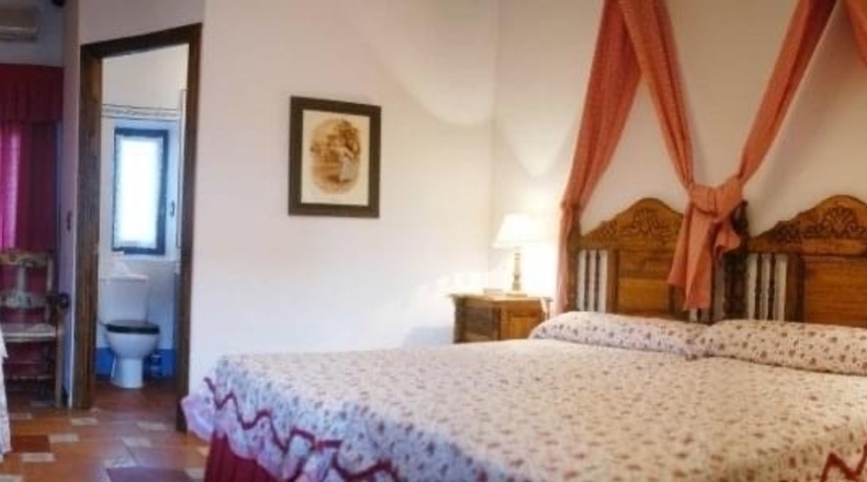 Toledo - Mora - 1800m2
